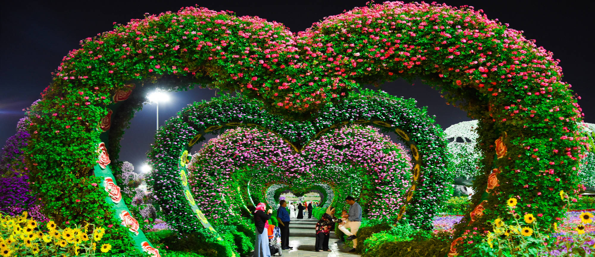 草花_宿根花卉草花批发基地市场_「价格实惠」_成都参天园林 草花_宿根花卉草花批发基地市场_「价格实惠」_成都参天园林