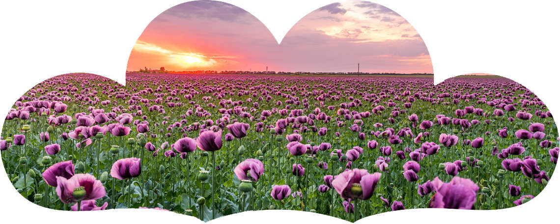 个高效办公的办公环境