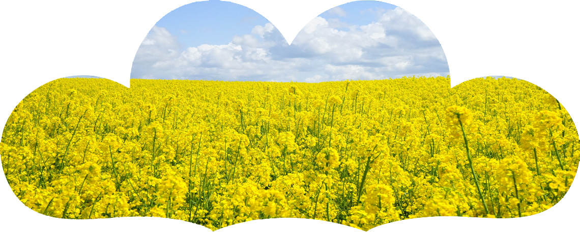 一个让企业飞速发展的办公环境