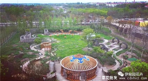 上海｜亲自体验中国花卉界的“奥林匹克”盛宴！