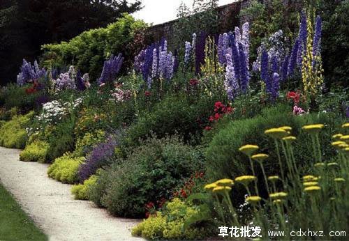 单面观赏花境图片