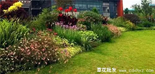 双面观花境(图2) 双面观花境案例图片