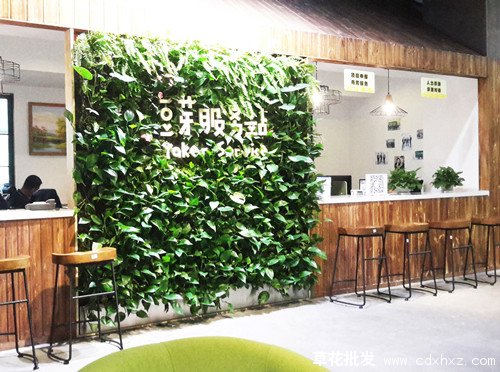 立体绿化(图3) 立体绿化图片