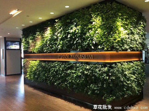 立体绿化(图6) 建筑立体绿化案例图片