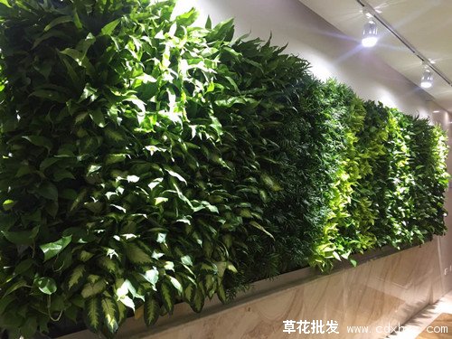 立体绿化(图10) 建筑立体绿化案例图片