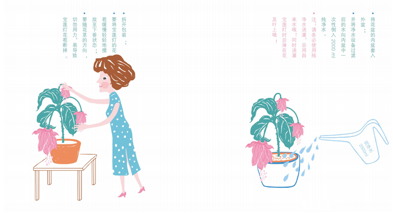 宝莲灯花的养殖方法和注意事项图片